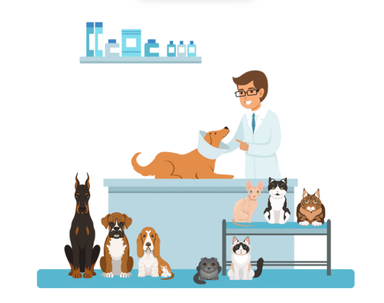 Cat Diarrhea: Causes, Home Remedies & When to See a Vet 🐾